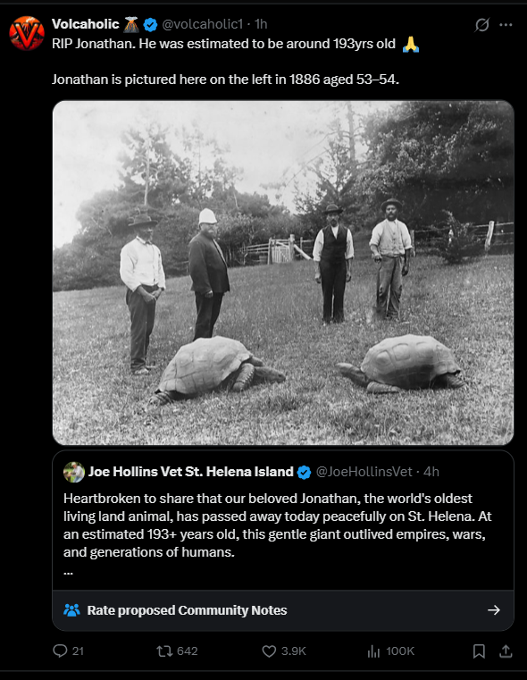 Volcaholic 🌋 tweet media