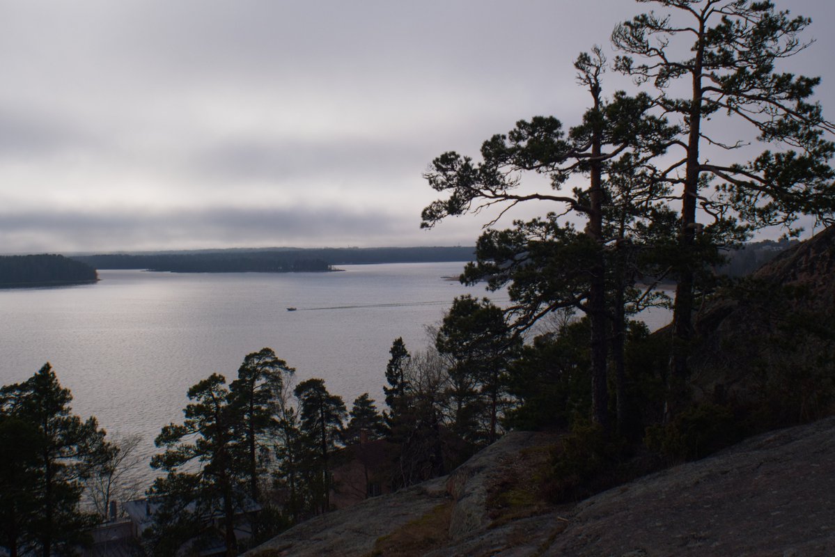 ☭⬌☠ tweet media