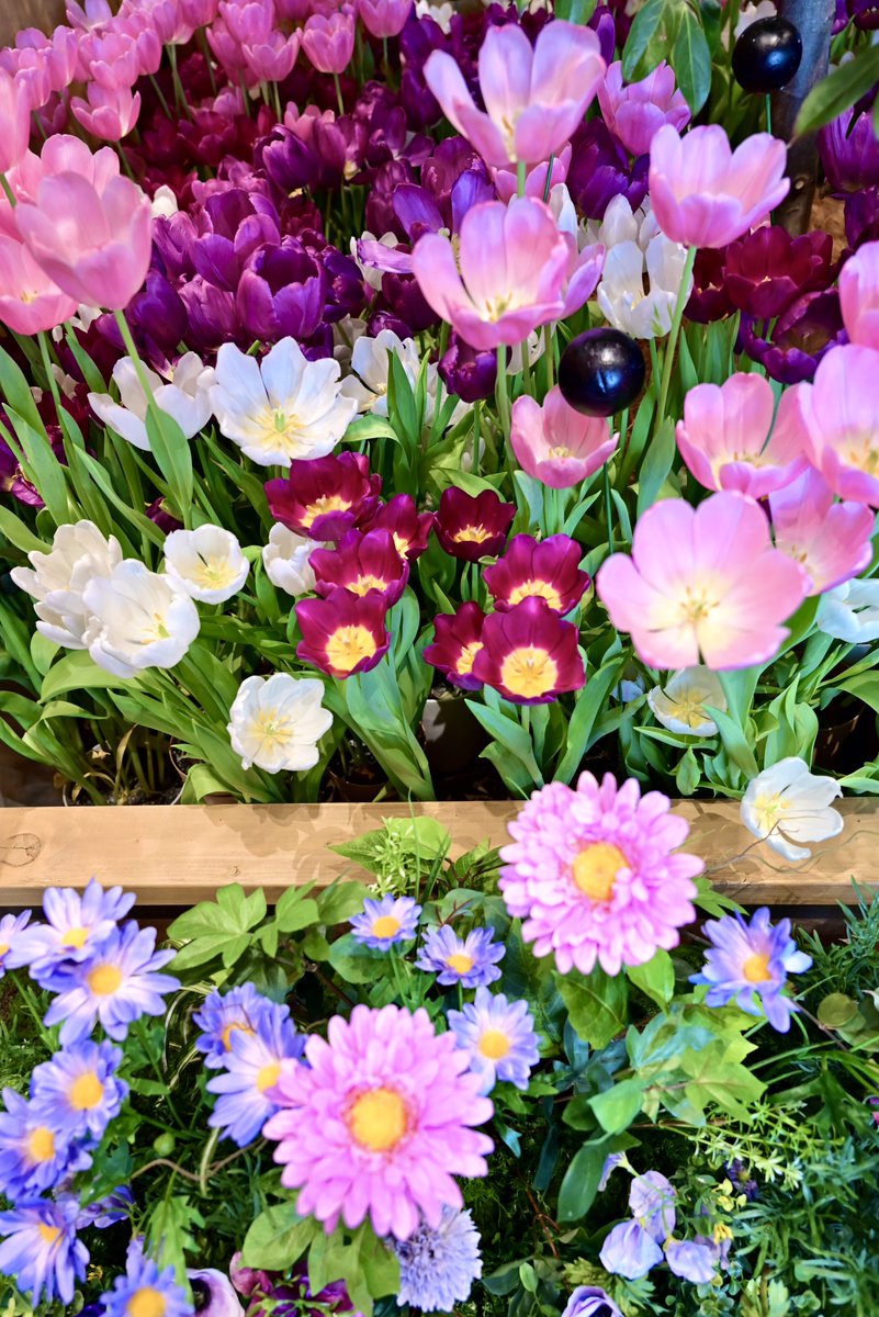 はむぴよ🐥⸒⸒ﾃｺﾃｺ tweet media