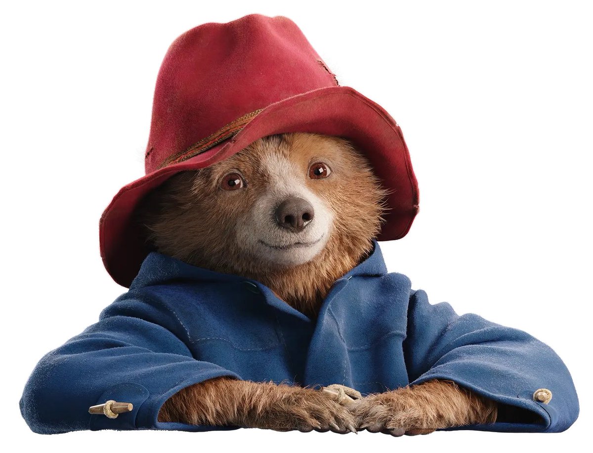 🐻荒熊ヒロ🦝🔰🇯🇵🇵🇭(NEXT→未定)マイペースに浮上 tweet media