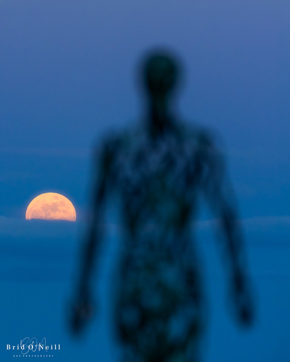 Bríd O'Neill (BON Photography) tweet media