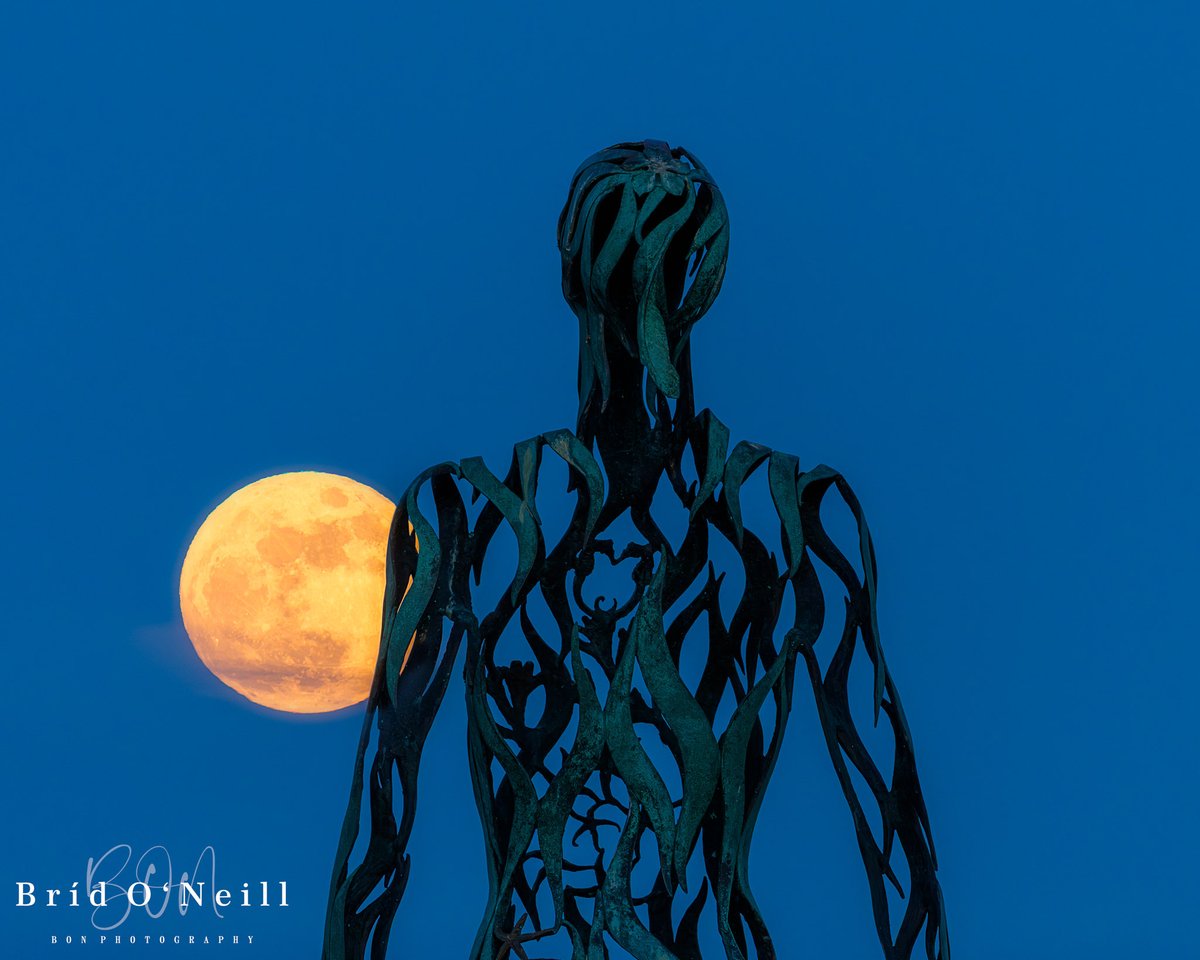 Bríd O'Neill (BON Photography) tweet media