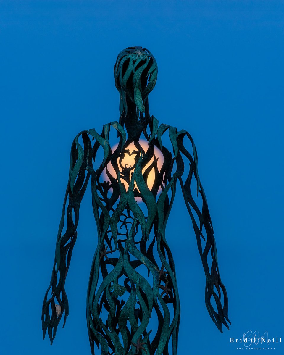 Bríd O'Neill (BON Photography) tweet media