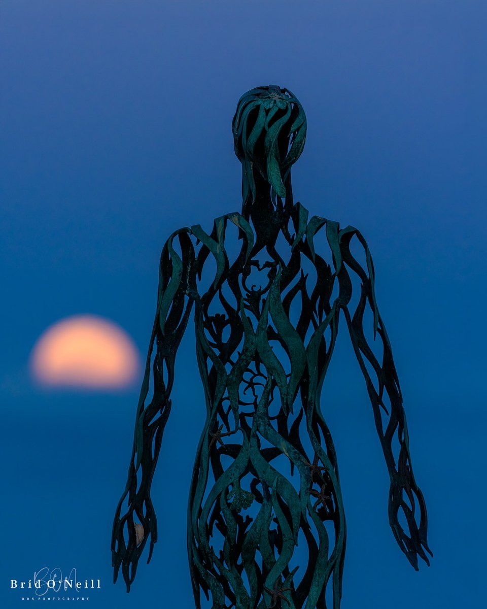 Bríd O'Neill (BON Photography) tweet media