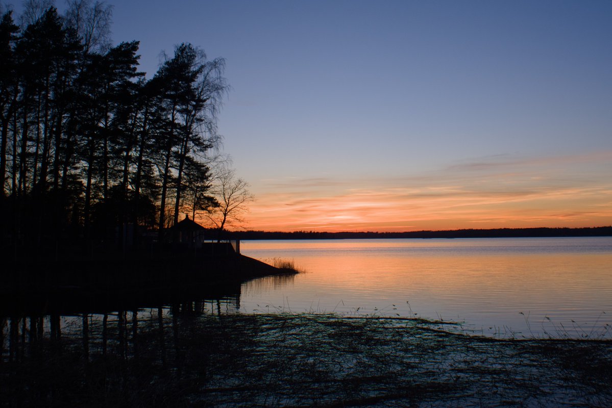 ☭⬌☠ tweet media