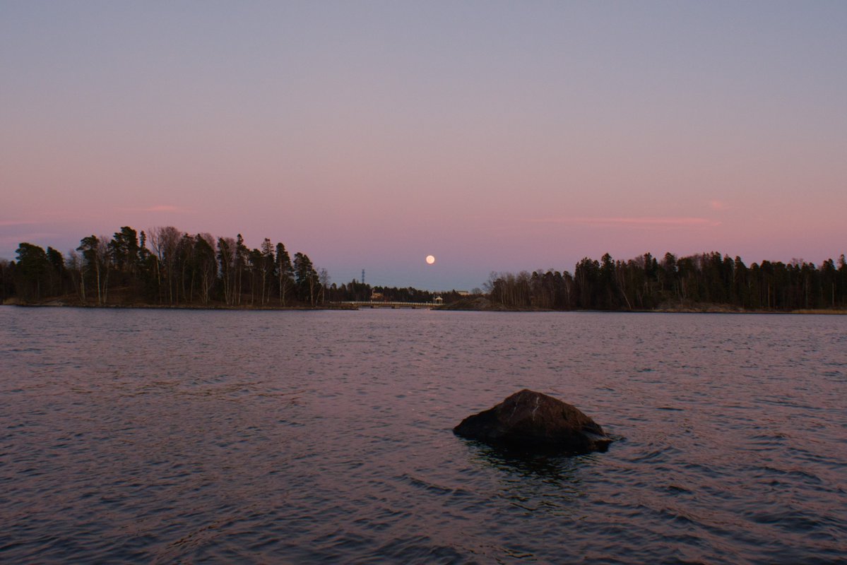 ☭⬌☠ tweet media