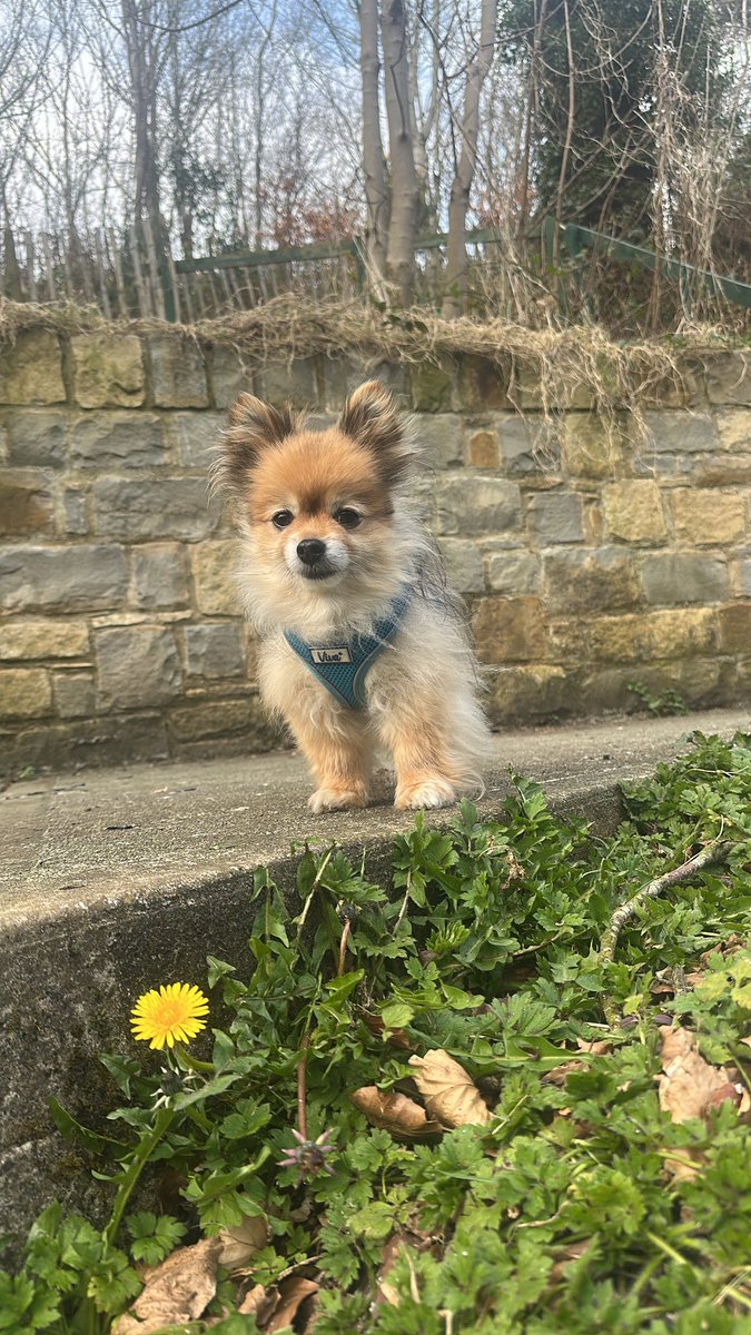 Clóda ❤️🔥 ★🇮🇪 tweet media