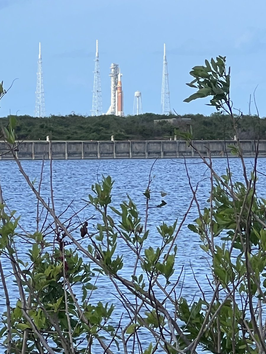 Christina Horsten tweet media