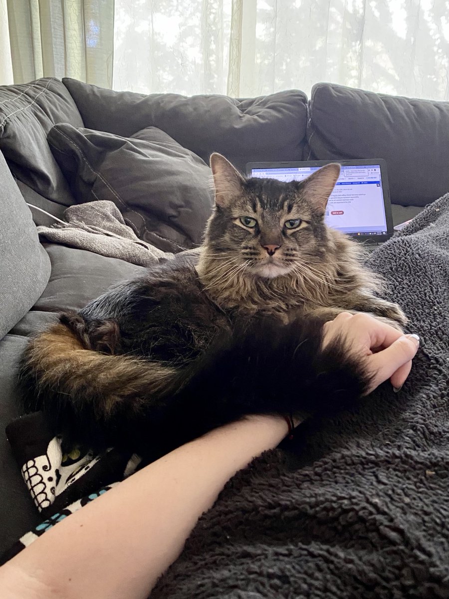 Amanda ✨ MOSTLY UPDATES tweet media