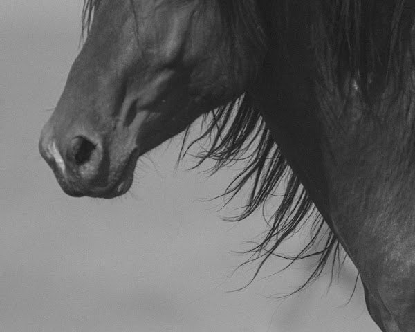 CARDELUCCI tweet media