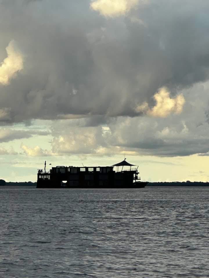 Johnny Moline 🐊 🌴🦩🦎 tweet media