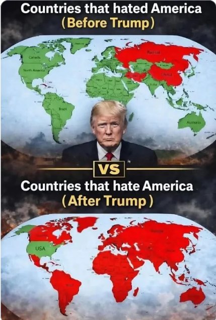 MIKDUB🇺🇸🍀🌊 tweet media