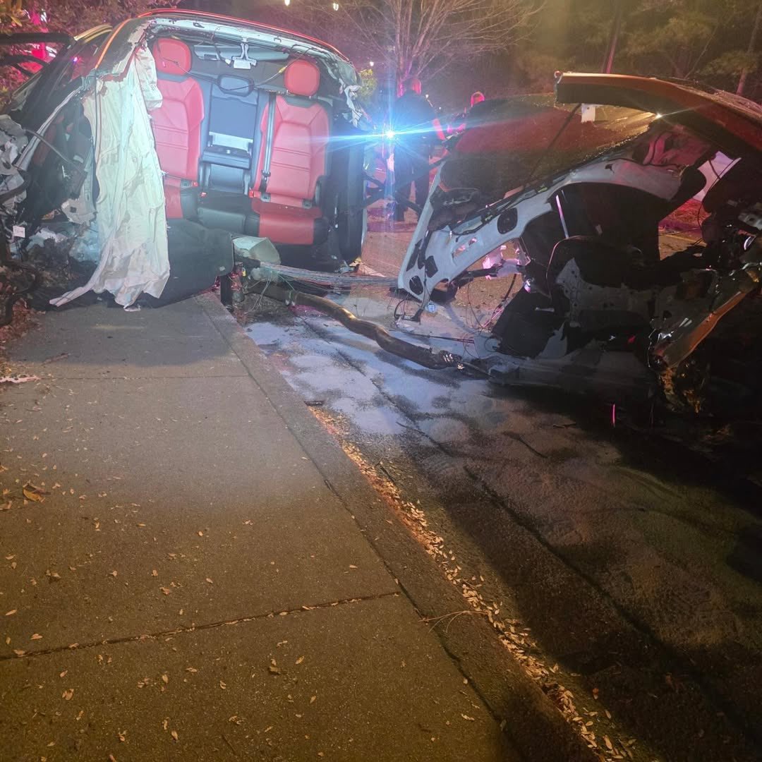 SIKAOFFICIAL🦍 tweet media