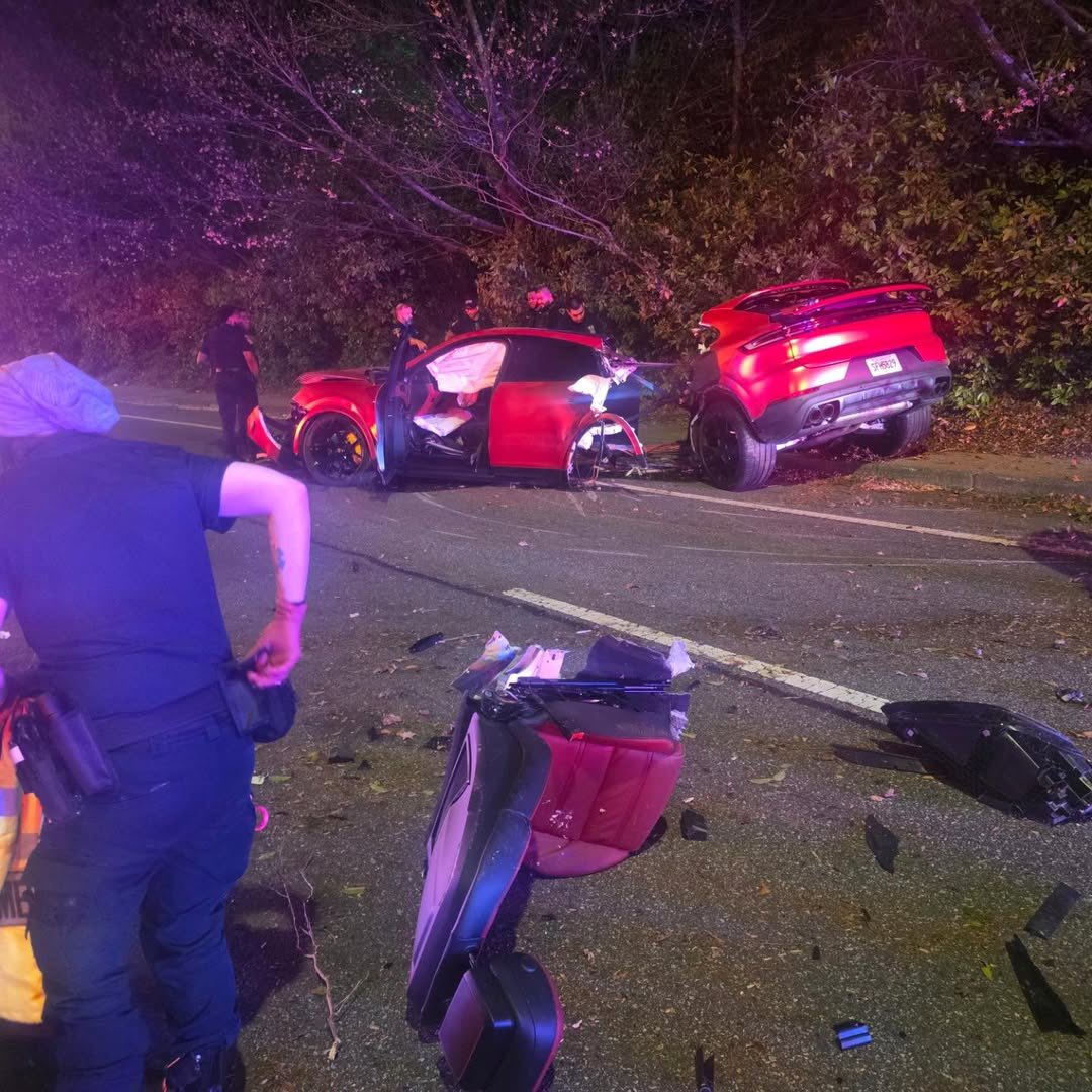 SIKAOFFICIAL🦍 tweet media