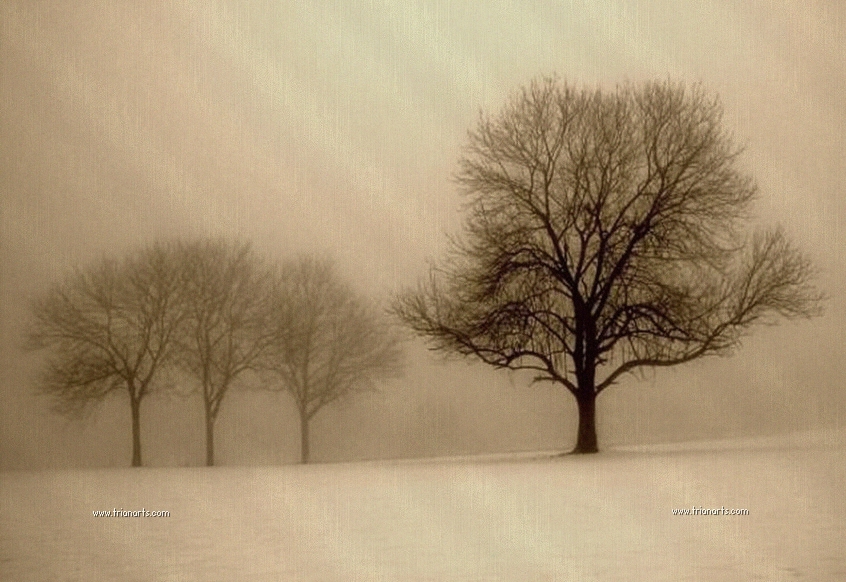 Concha Rodríguez tweet media