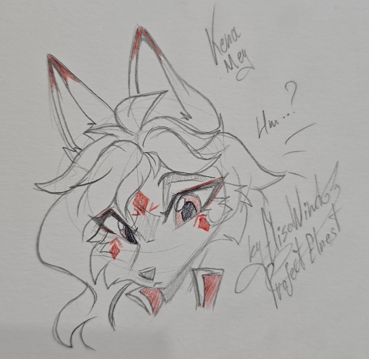 Elisa Wind tweet media