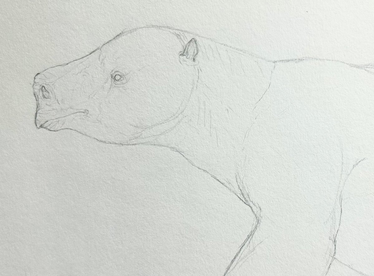 Quackingbeast tweet media