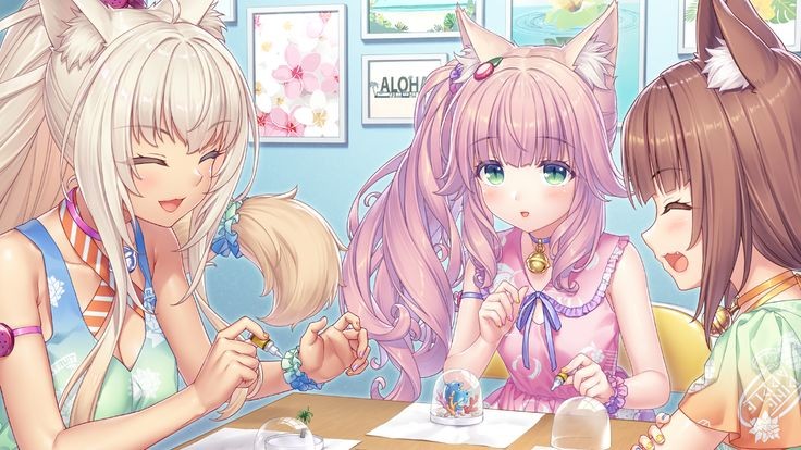 tiramisu ¹² tweet media