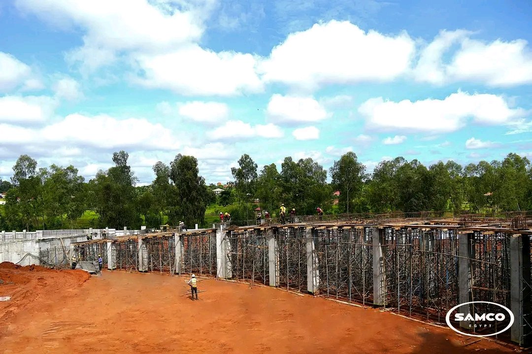 Immaculate Amony tweet media