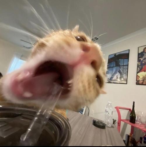 ᴅᴜᴅᴀ 🍷 tweet media