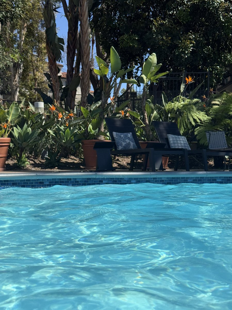 Chris, PhD tweet media