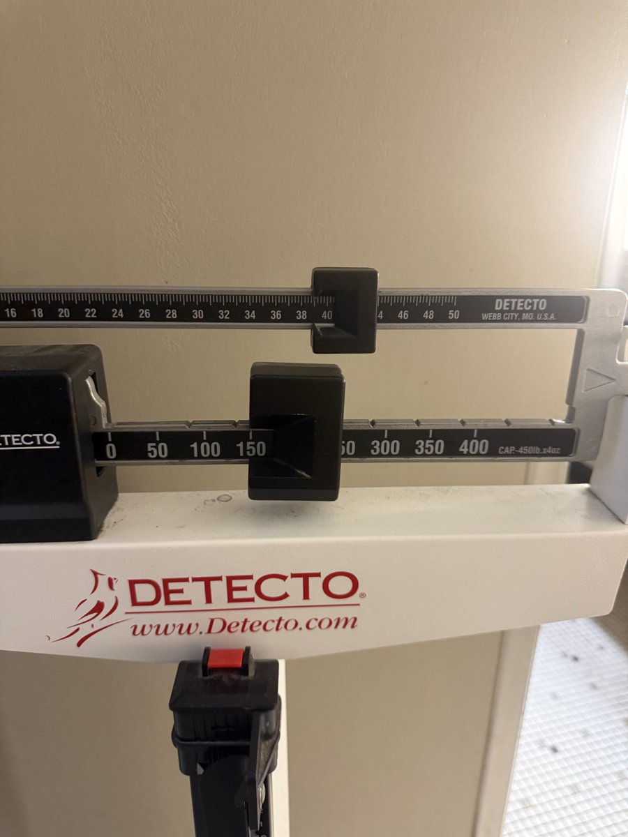 kismet (era) 🙂‍↕️ tweet media