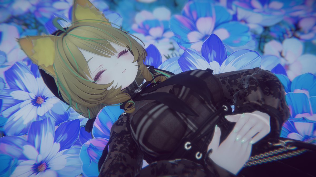 キャッツ！ tweet media