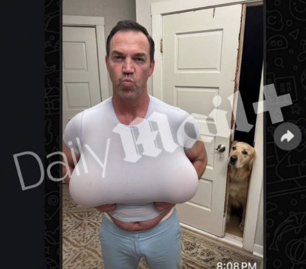 LIZ CROKIN tweet media