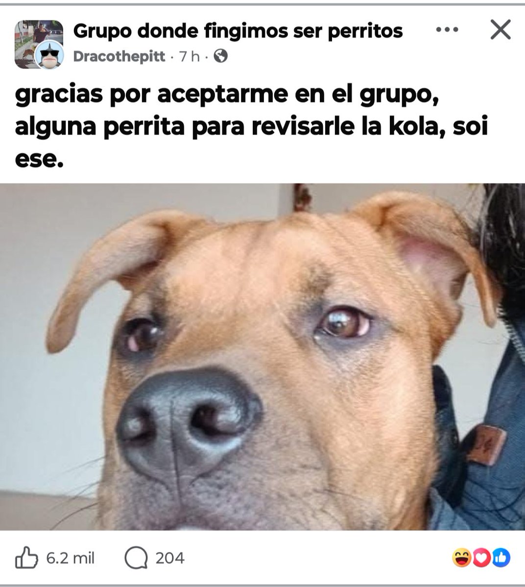 El_Gasto tweet media