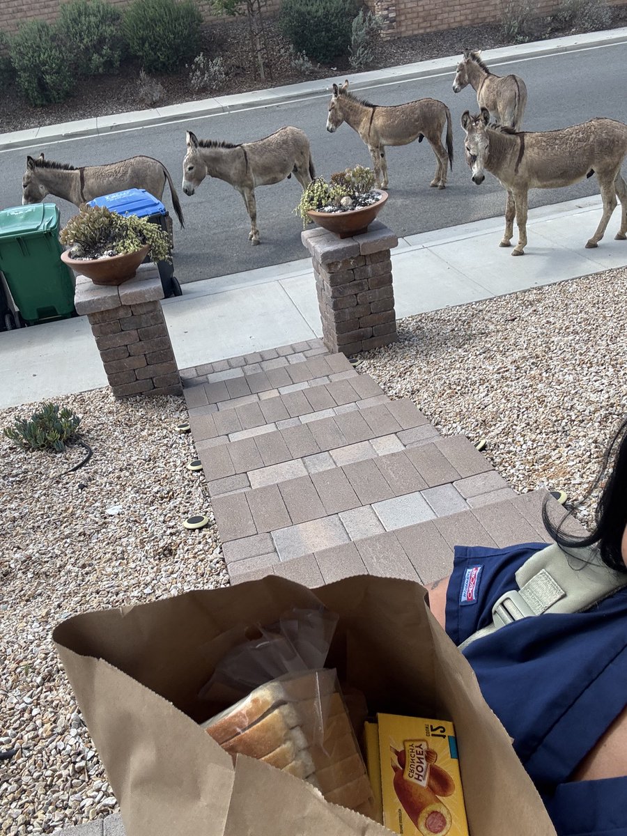 lexy lovegood ♡🪄 tweet media