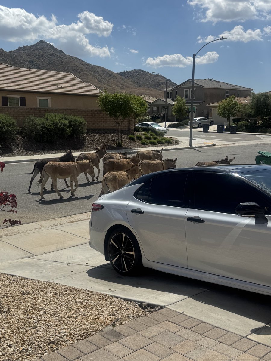 lexy lovegood ♡🪄 tweet media