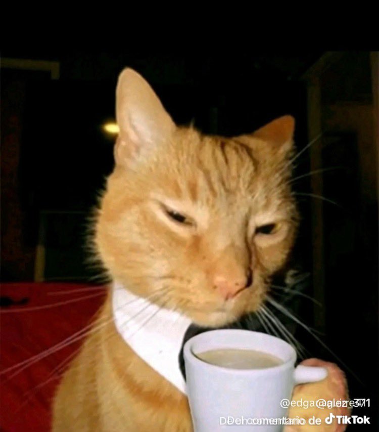 Chatty 🇵🇪 tweet media