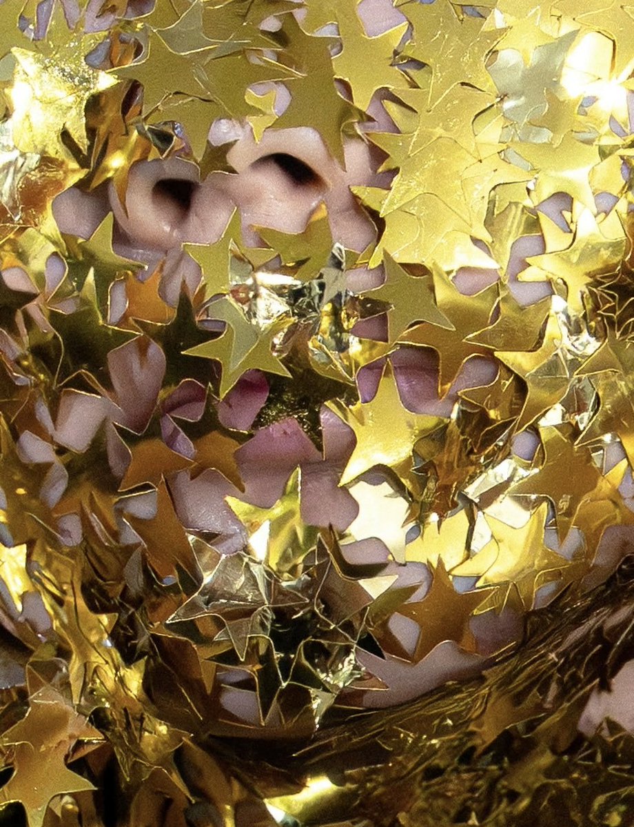 La Mode Unknown tweet media