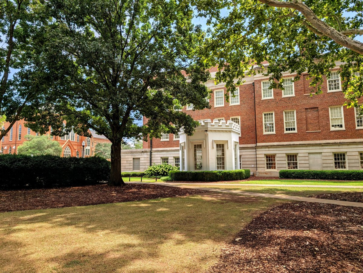 Bruno Library tweet media