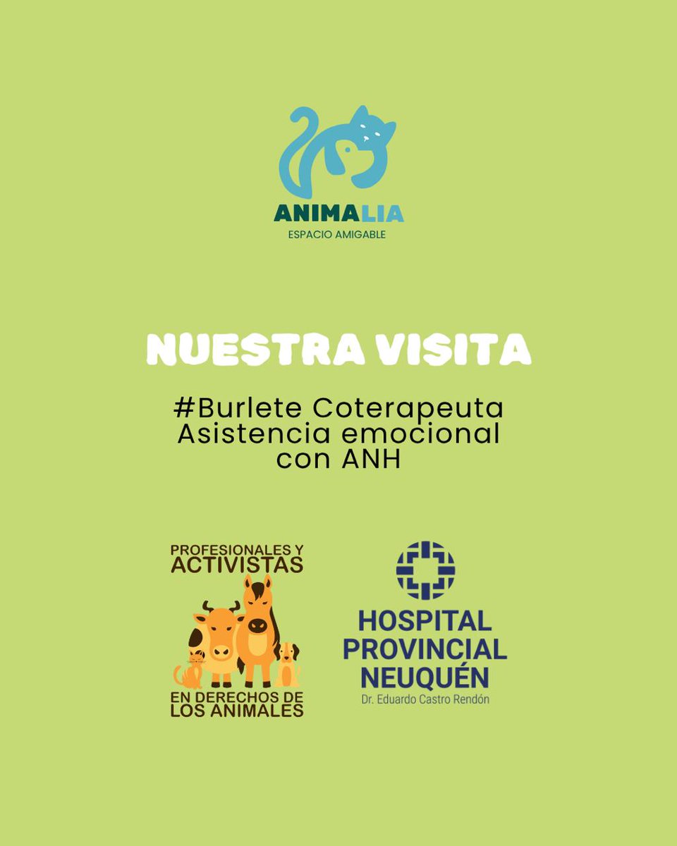 🐾𝑨𝒏𝒅𝒓𝒆𝒂 𝑭𝒆𝒓𝒓𝒂𝒄𝒊𝒐𝒍𝒊 🐾 tweet media