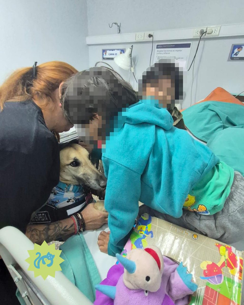 🐾𝑨𝒏𝒅𝒓𝒆𝒂 𝑭𝒆𝒓𝒓𝒂𝒄𝒊𝒐𝒍𝒊 🐾 tweet media