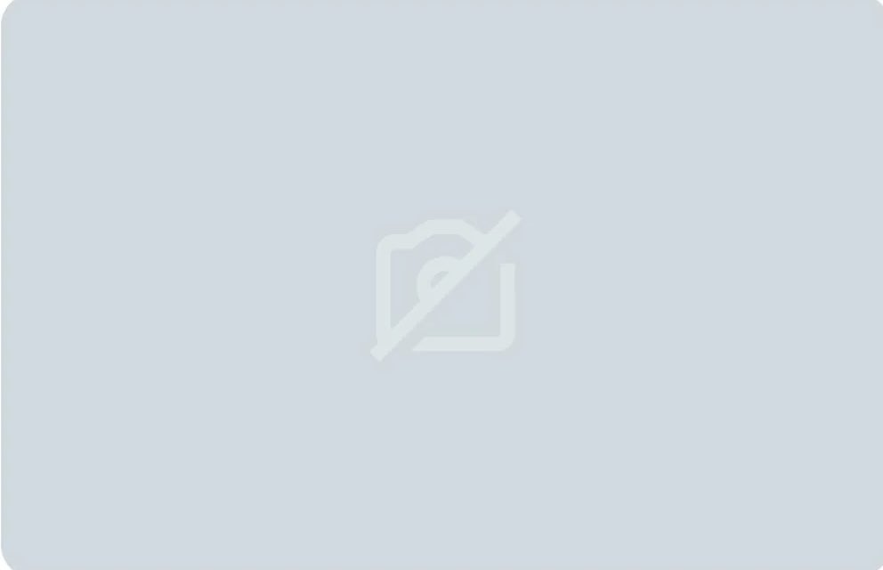 gracie 💘 tweet media