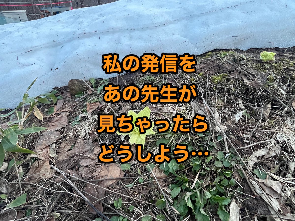 三栗祐己🍅 増刷決定！『北の国から　家族4人で幸せ自給生活』 tweet media