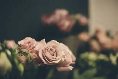 ريم سعيد الاحمدي tweet media