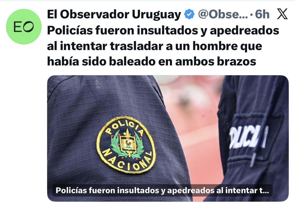 El Bagual bolso tweet media