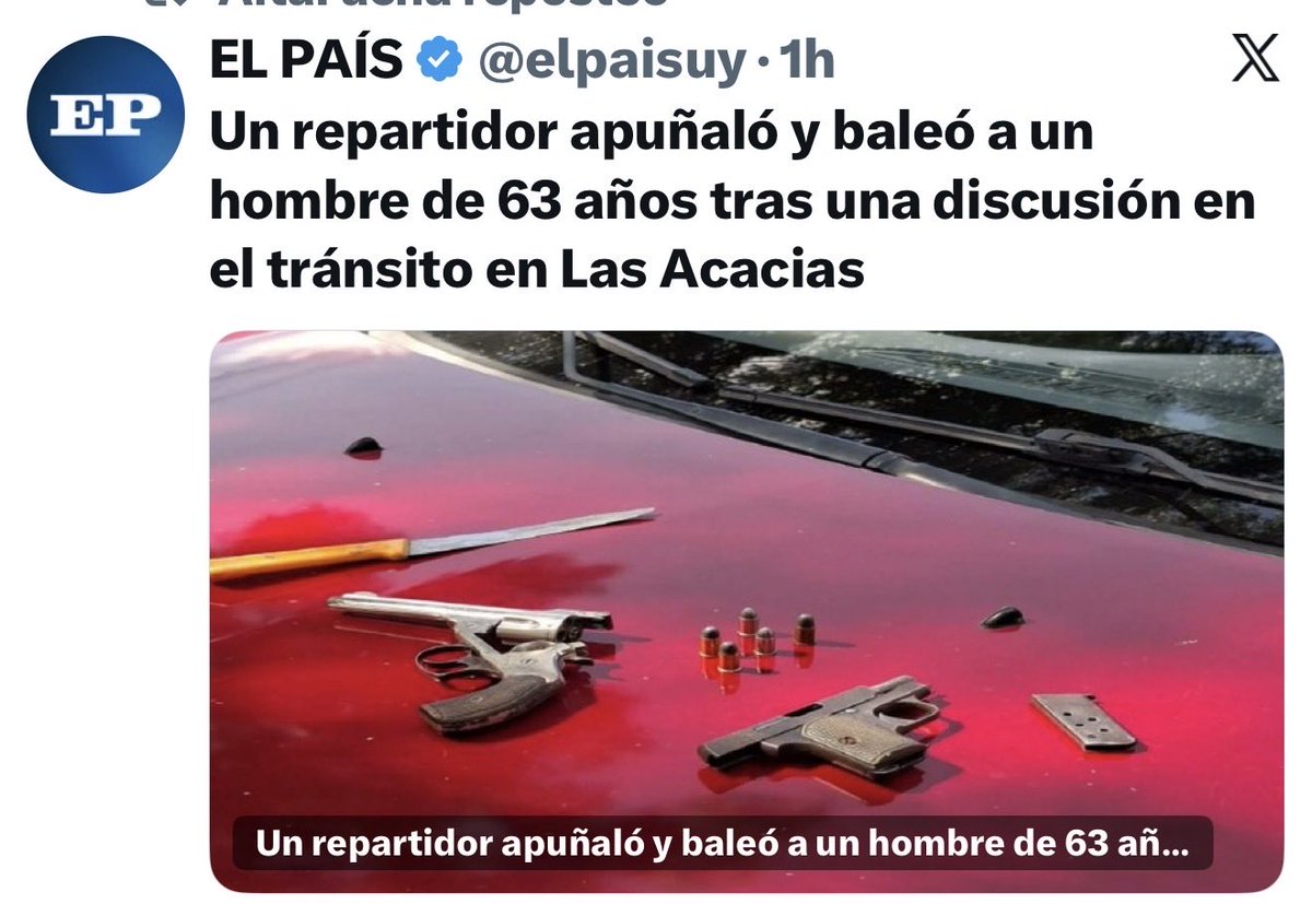 El Bagual bolso tweet media