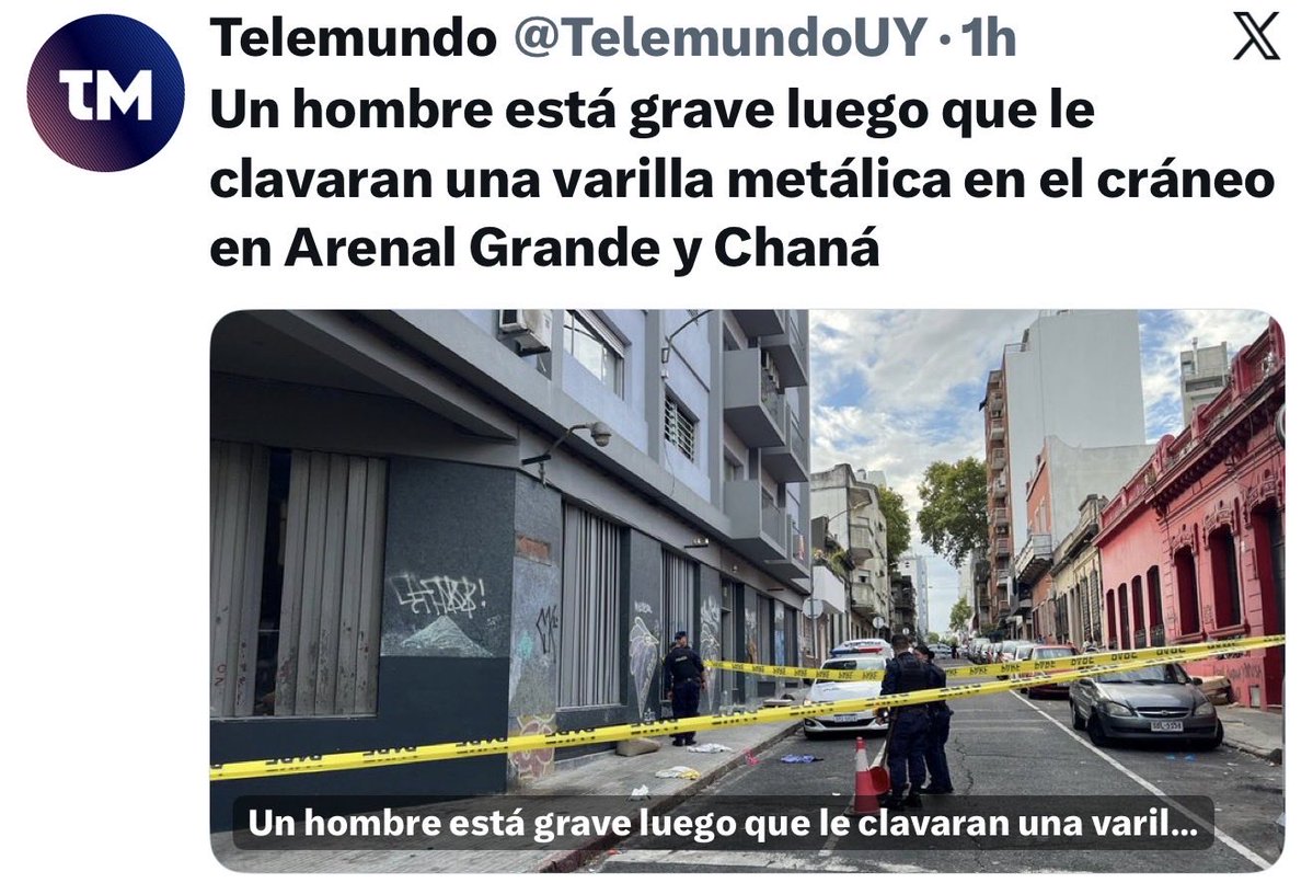 El Bagual bolso tweet media