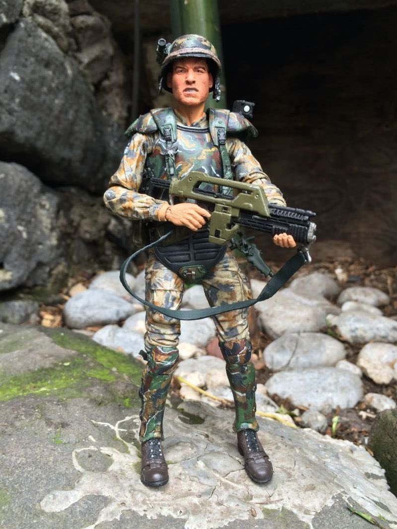 Political HiJinx tweet media