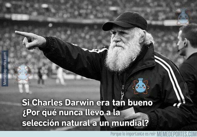 memedeportes tweet media