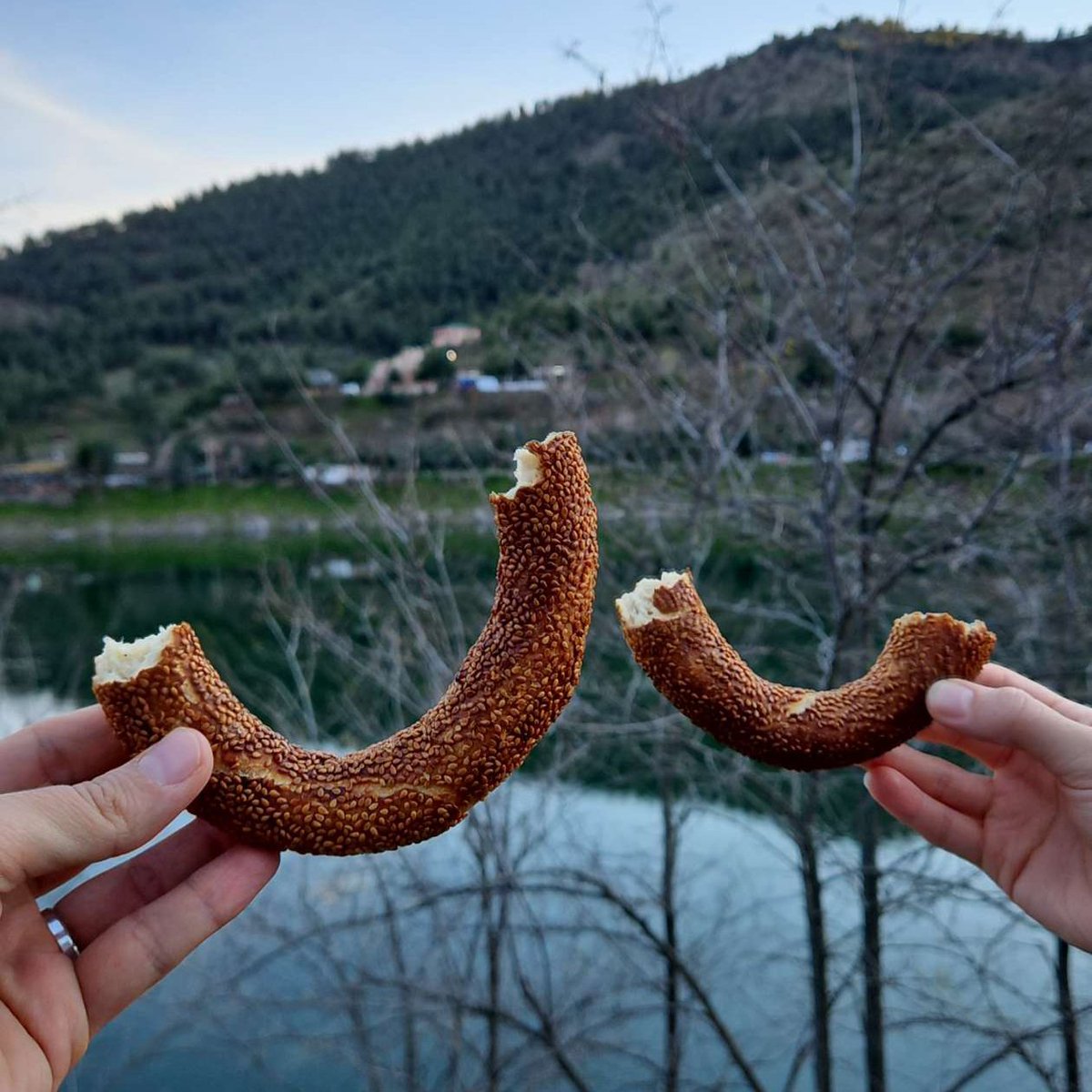 msyhnirem's tweet photo. feminizm zırvalarıyla doymaktansa kocamla simit ayran https://t.co/jVmFE4mfSJ