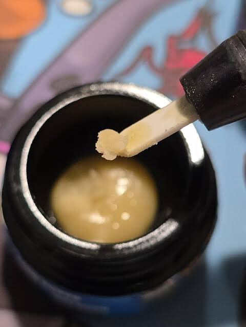 Static Man Hash🍯 tweet media