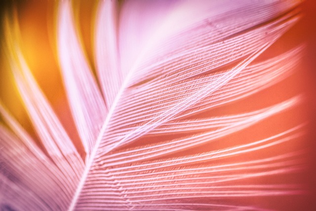 Roy Dutton tweet media