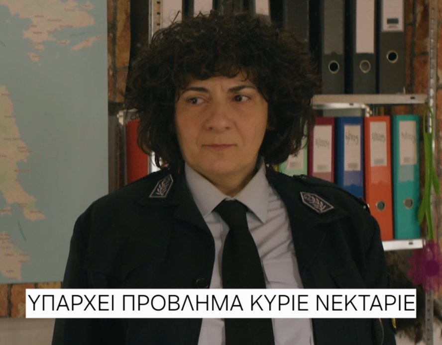 Joanne 🍊🪄 tweet media