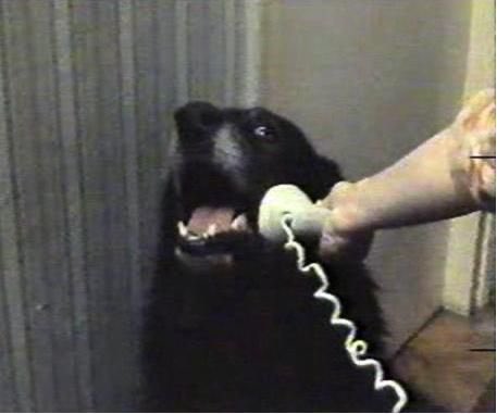 Henry Mill tweet media