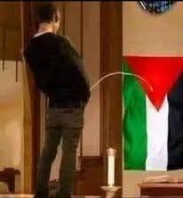 Frank Gastlione tweet media